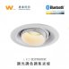 LED崁燈 藍芽APP+2.4G無線調光調色 焦距可調
